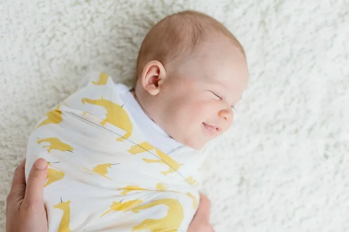 Buttermilk Babies Signature Zoonicorns Swaddle Blanket