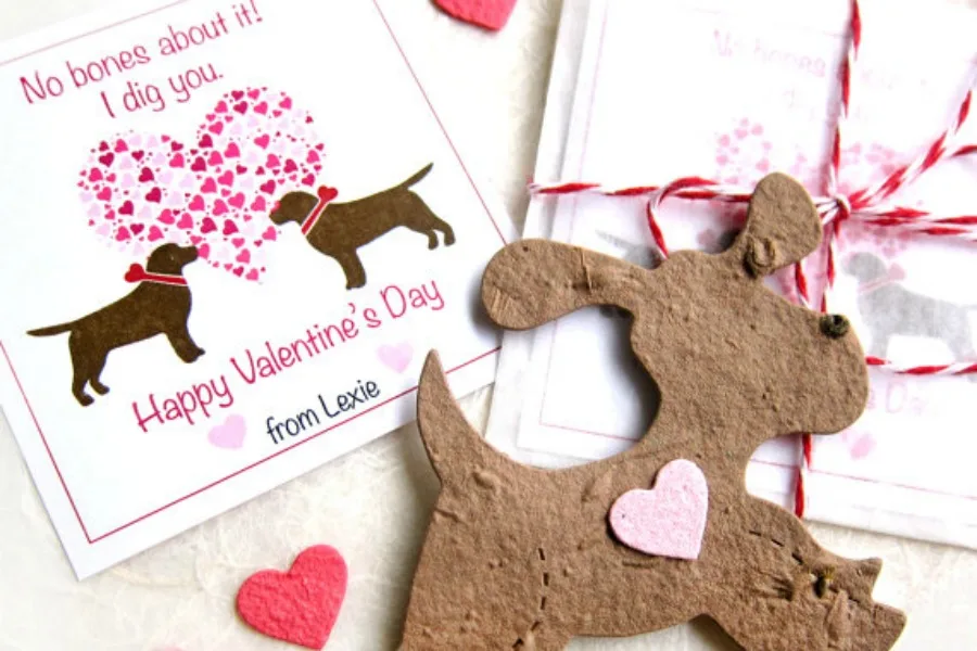 Non-candy Valentine's Day classroom gifts like this seed packet by Recycled Ideas.