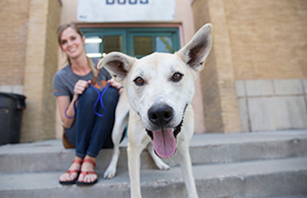 Giving Tuesday: Best Friends Animal Society