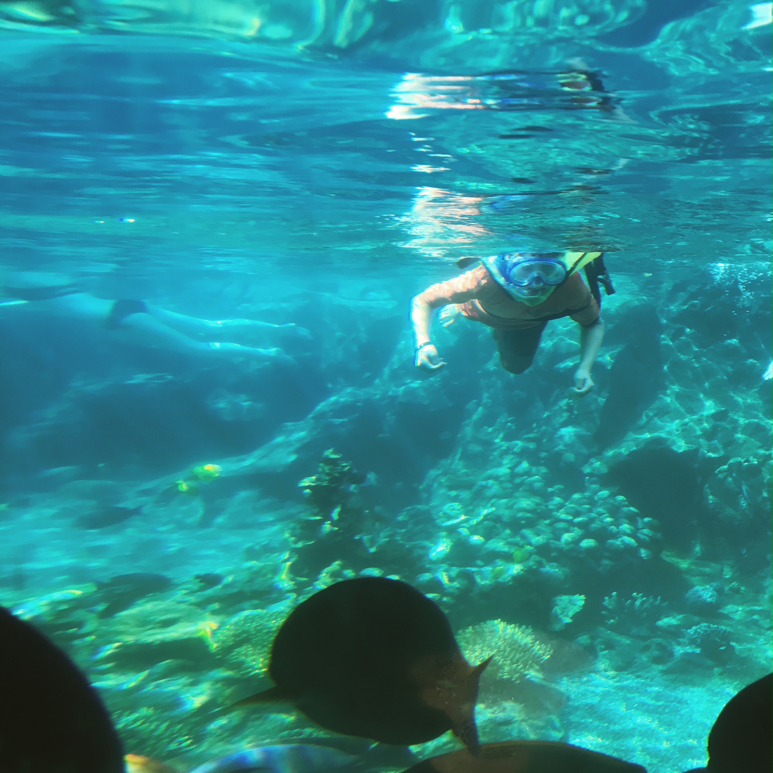Disney's Aulani review: The rainbow reef