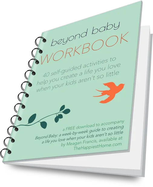Beyond Baby by Meagan Francis Workbook