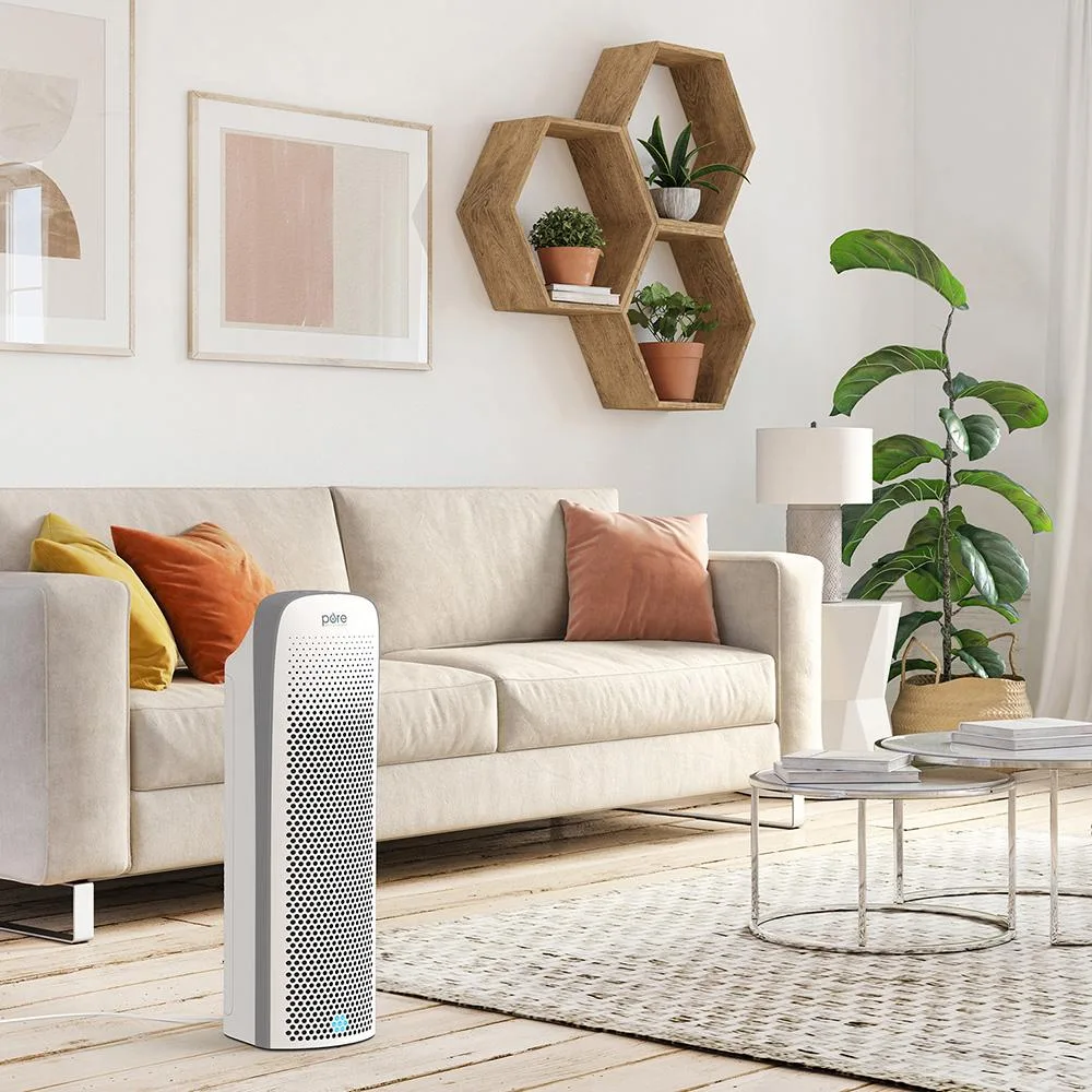 PureZone's HEPA filter air purifier is a great purchase before winter starts, but hurry while you can get one!