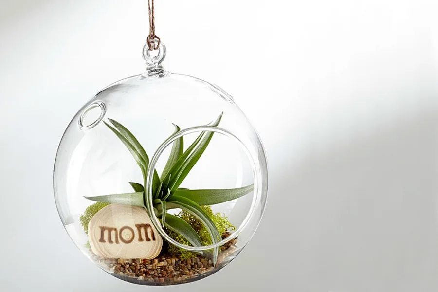 Clever flower alternatives for Mother's Day that last a long longer
