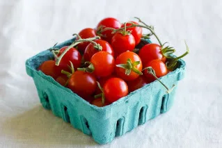Growing edibles just got easy. Like black-thumb-proof easy.