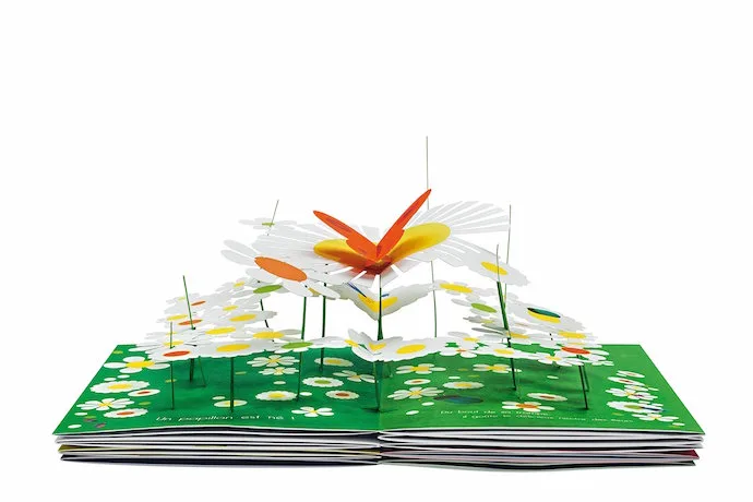 beautiful pop-up books