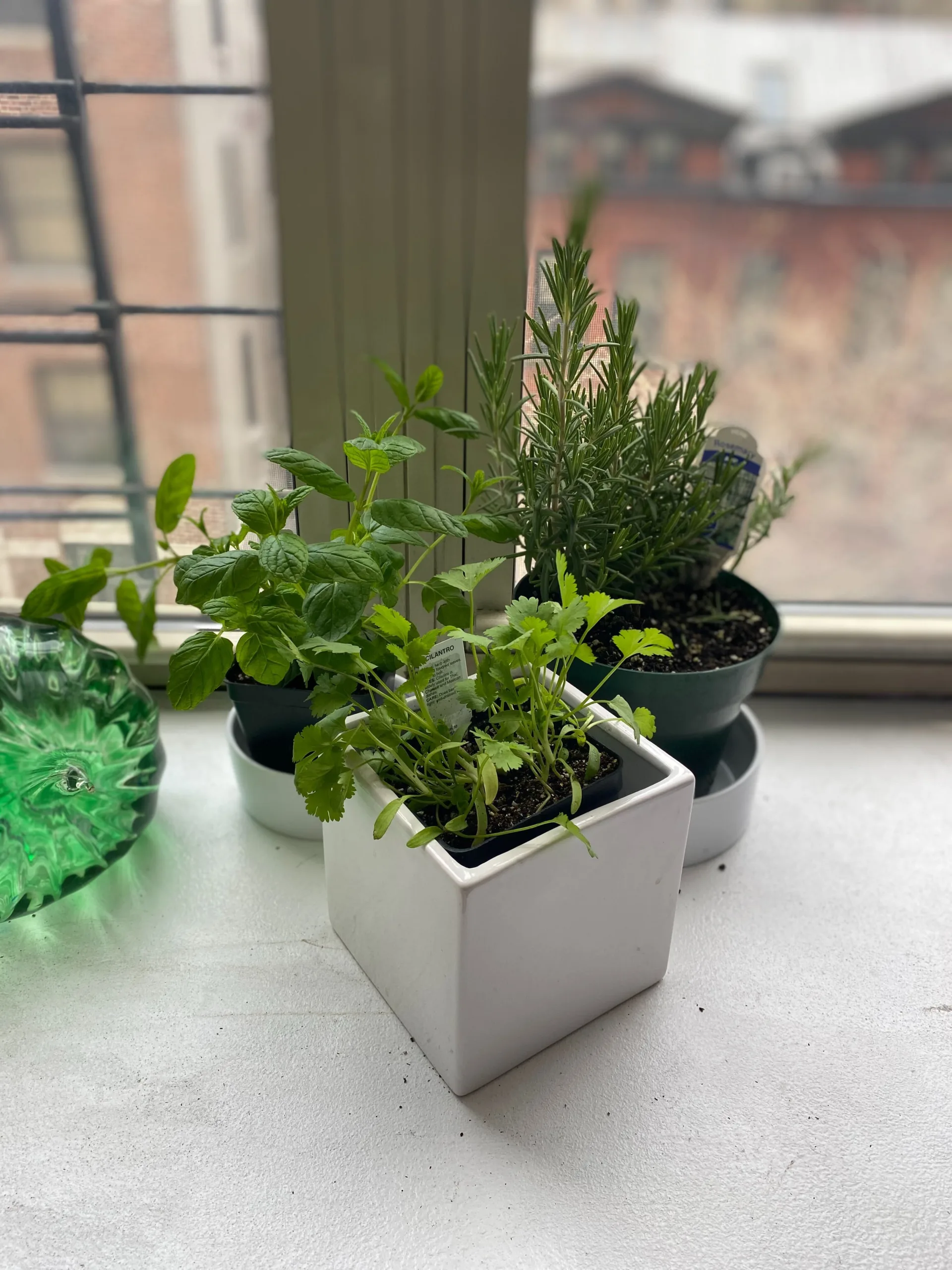 Give a gardening gift card for Teacher Appreciation Week