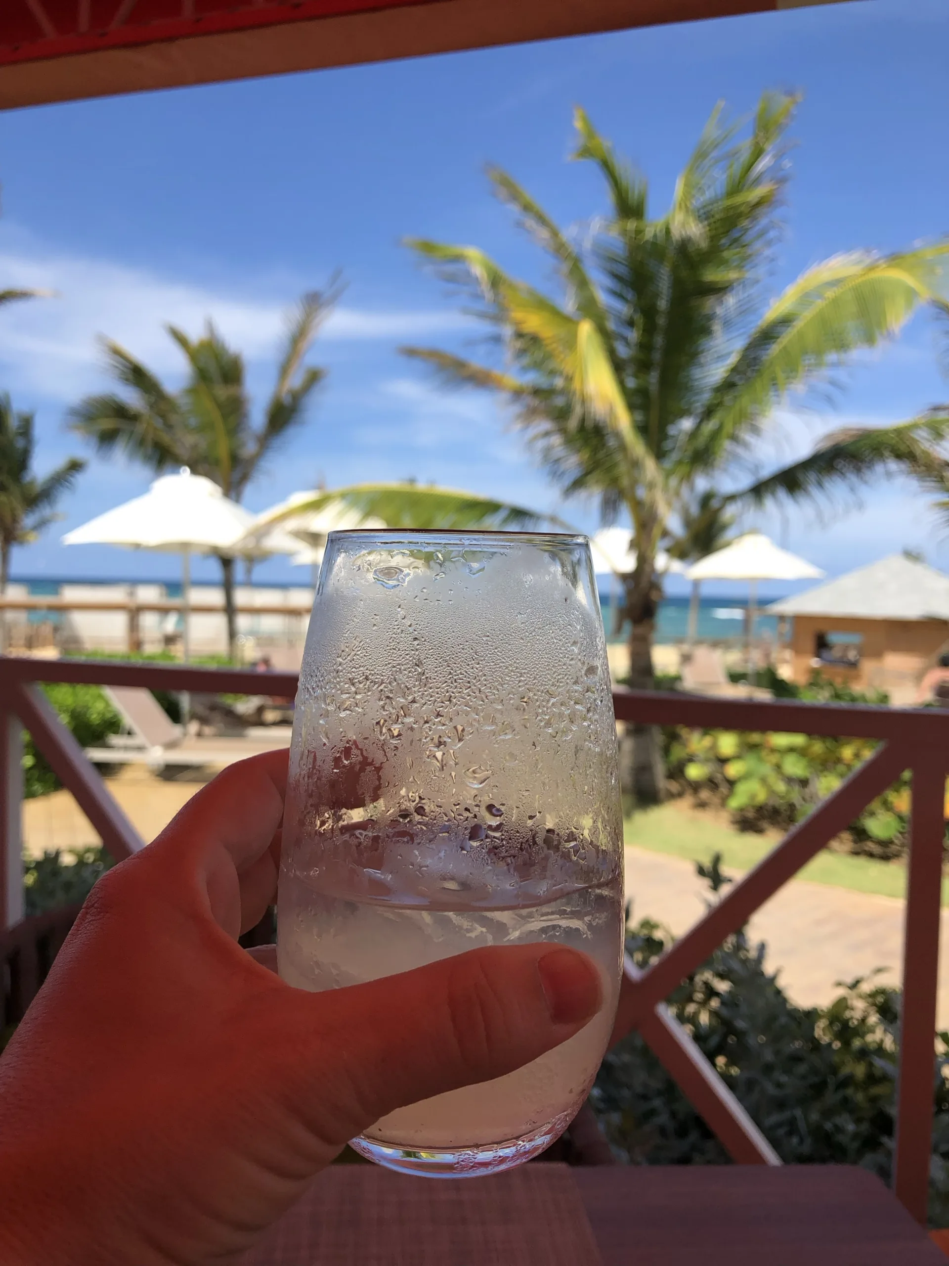 Tips for enjoying your Nickelodeon Punta Cana resort vacation: Cool Mom Picks