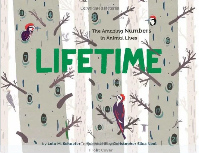 A numbers book for kids who like animals. Or an animal book for kids who like numbers.