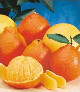 HoneyBells - The gift that won't arrive in time for Christmas. Which is exactly the point.