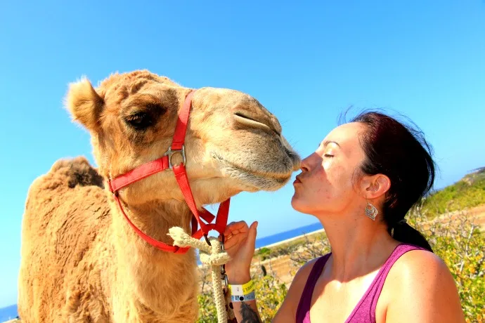 Marina Fiesta camel safari adventure in Los Cabos, Mexico.