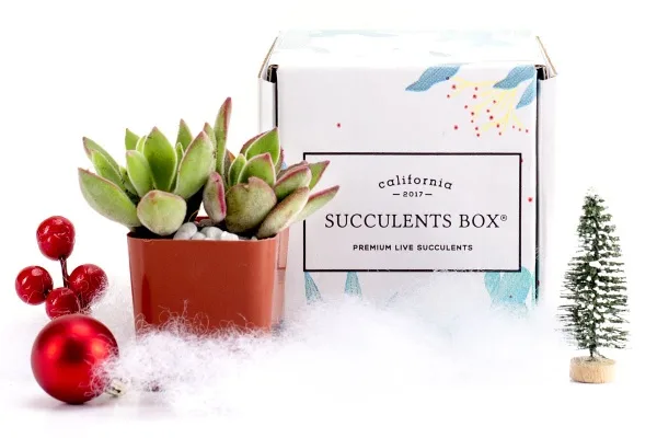 50+ cool gifts under $15 for men and women: Printable recipe cards with family recipes. Enclose with some homemade baked goods