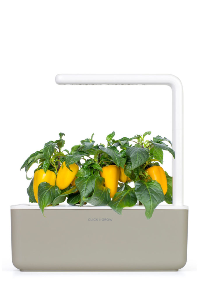 The indoor click & grow herb garden is wonderful!
