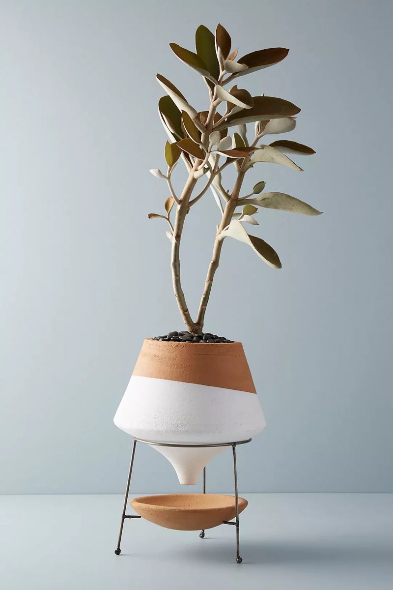 Stylish planters to zhuzh up your living areas: This dipped terracotta planter at Anthropologie
