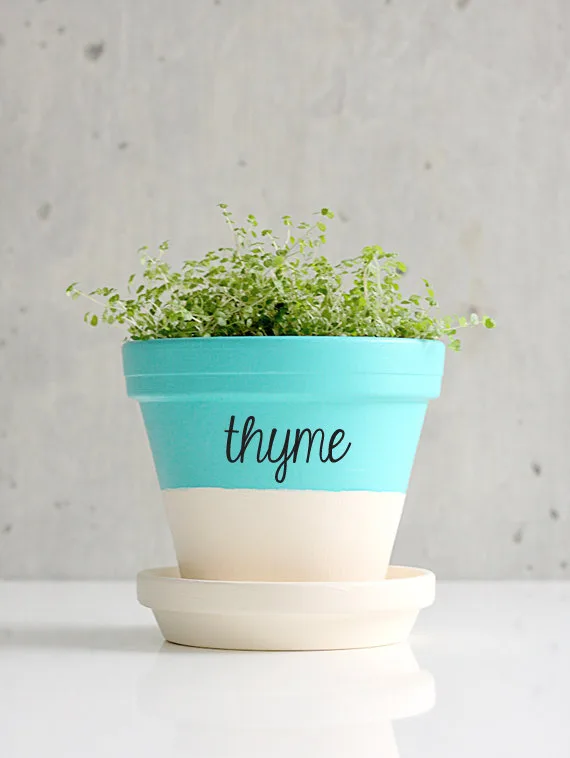 Zesty Graphics on Etsy
