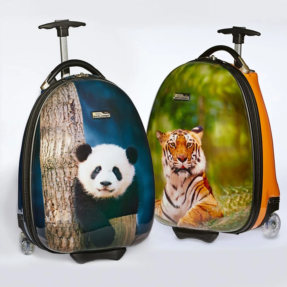 Cool kids' luggage: Hard Side Luggage by National Geographic