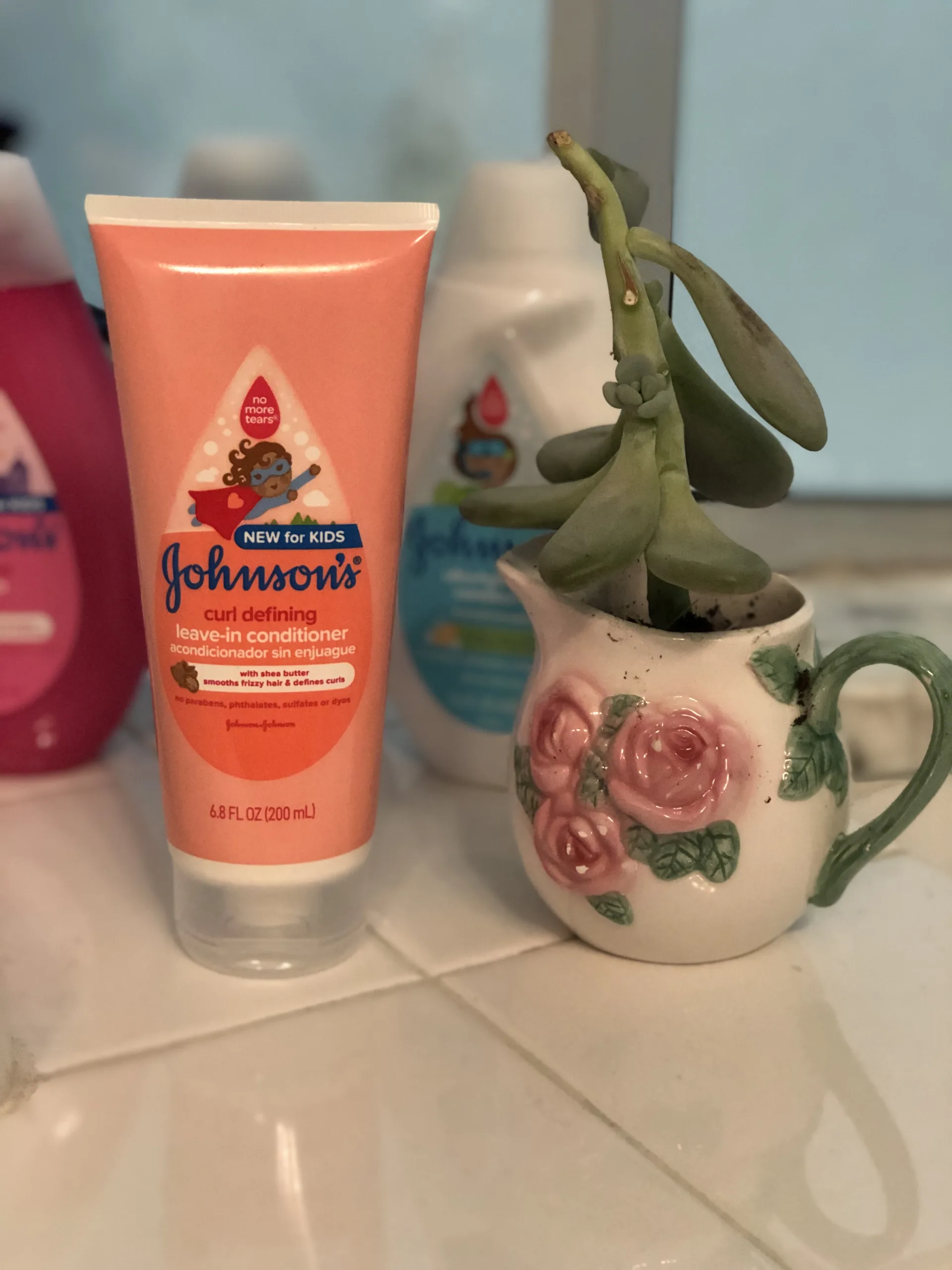 Sponsor