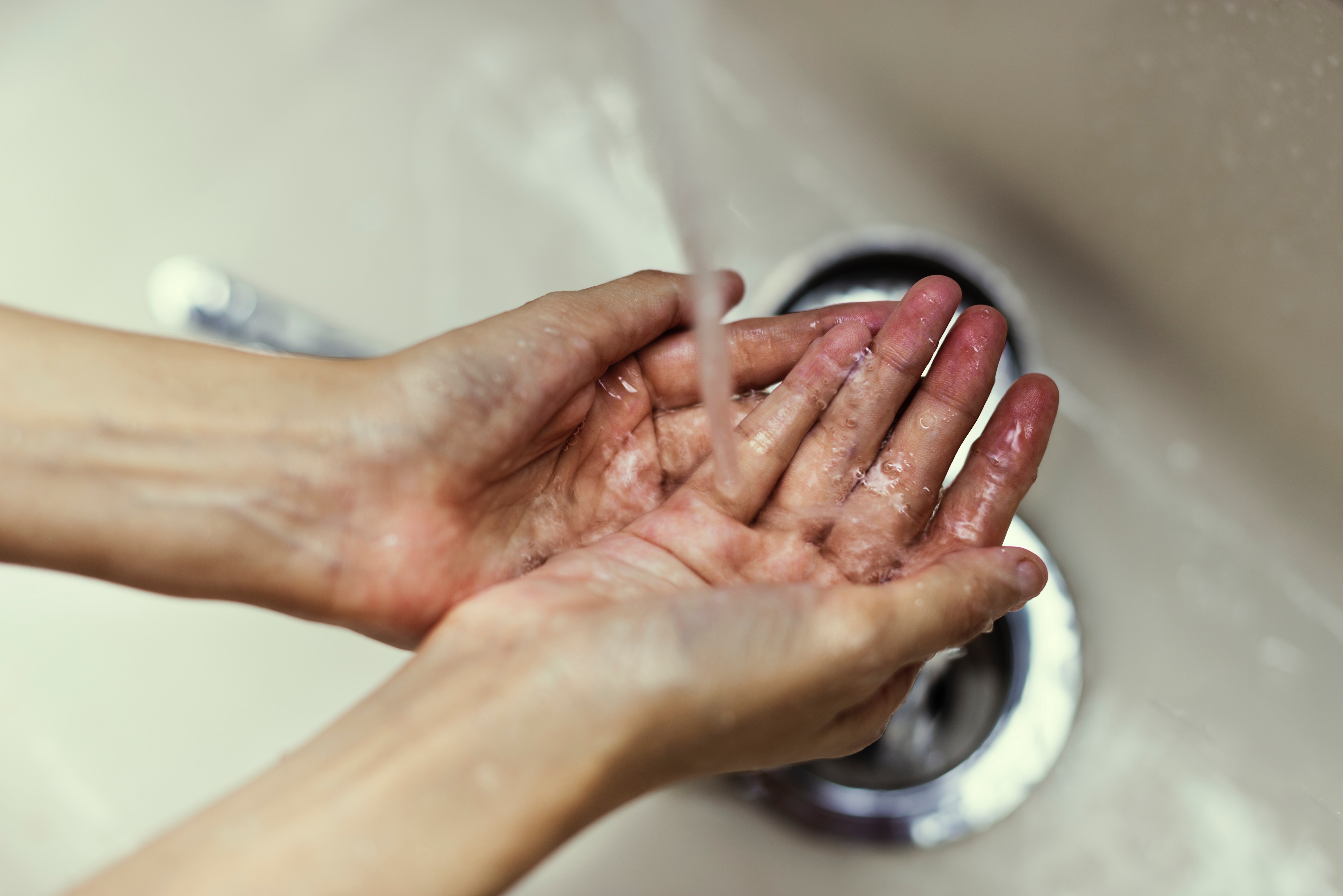 6 natural remedies to keep families healthy during back-to-school season