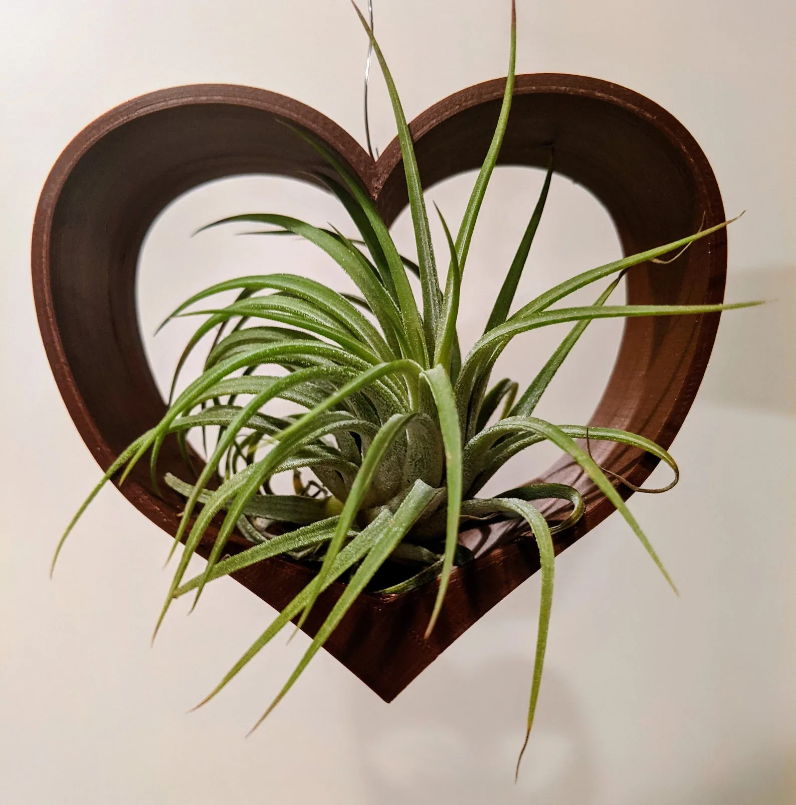 Mother's Day Bouquet Alternatives: Wreath