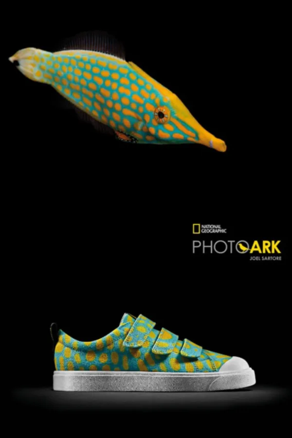 Clarks Kids x National Geographic sneakers inspired by the chameleon