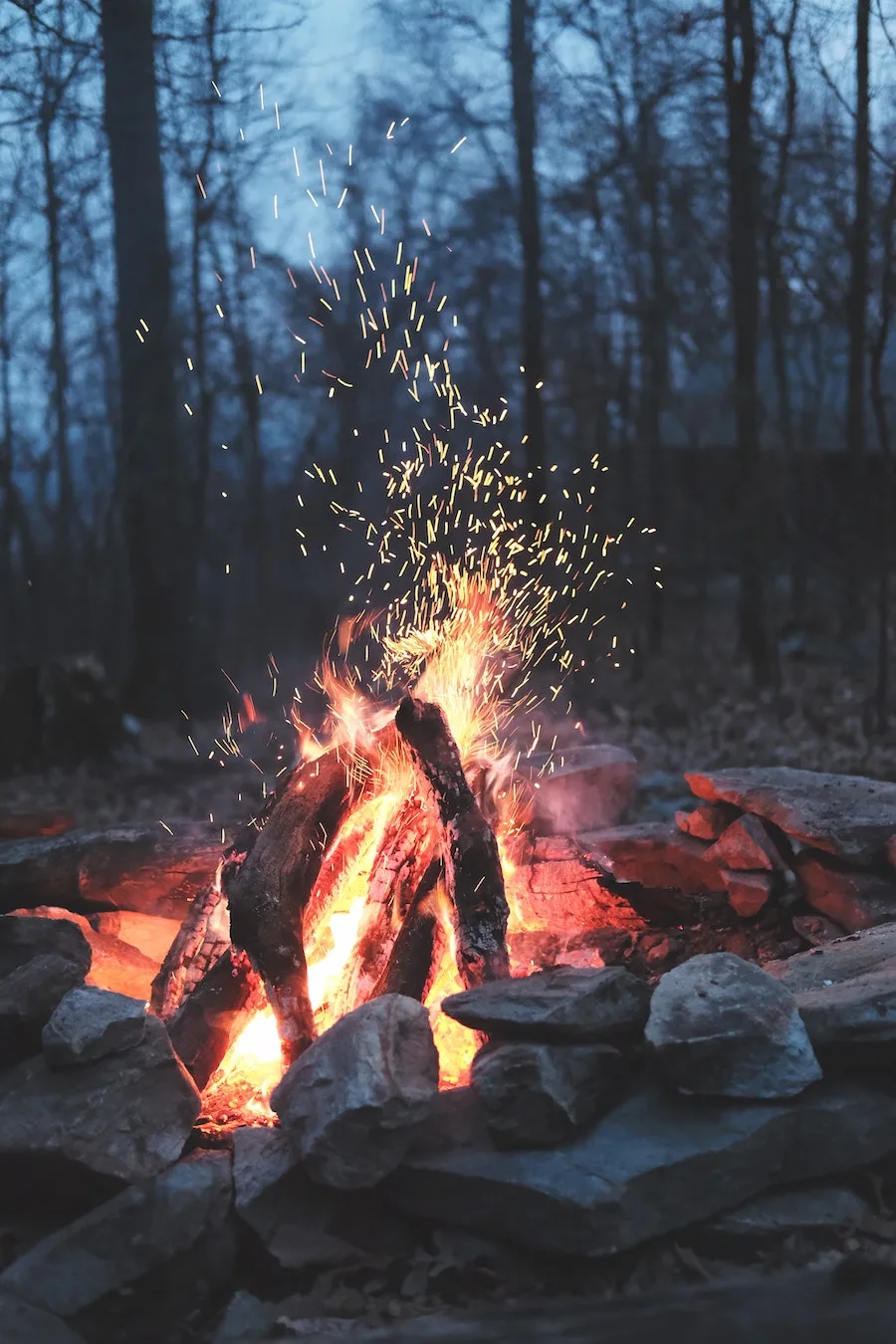 Photo by Siim Lukka via Unsplash