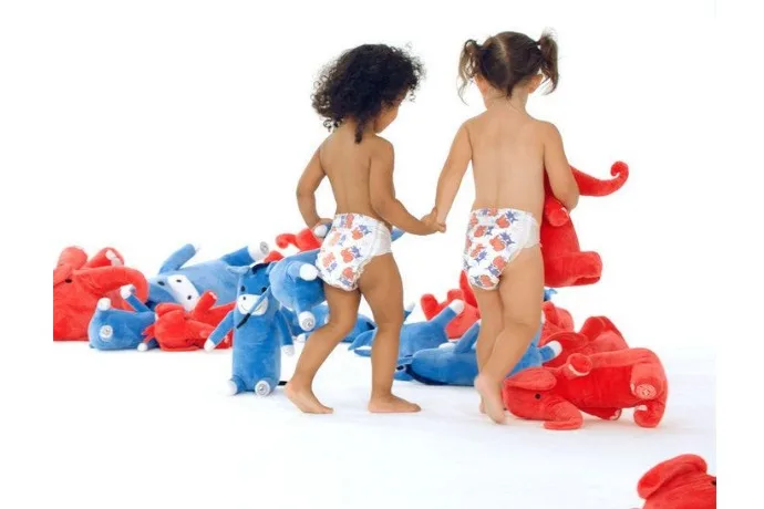 The Honest election diapers: For the bipartisan family