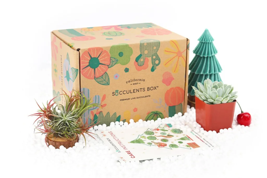 Succulent Gift Box: Affordable last-minute gift idea for so many people on your list!