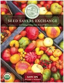 Planting the seeds of greatness (and also tomatoes)