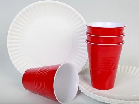 Reusable melamine cups + plates that look like the paper ones. Genius!