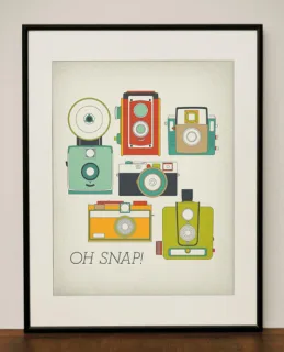 Pretty cameras fit for the wall