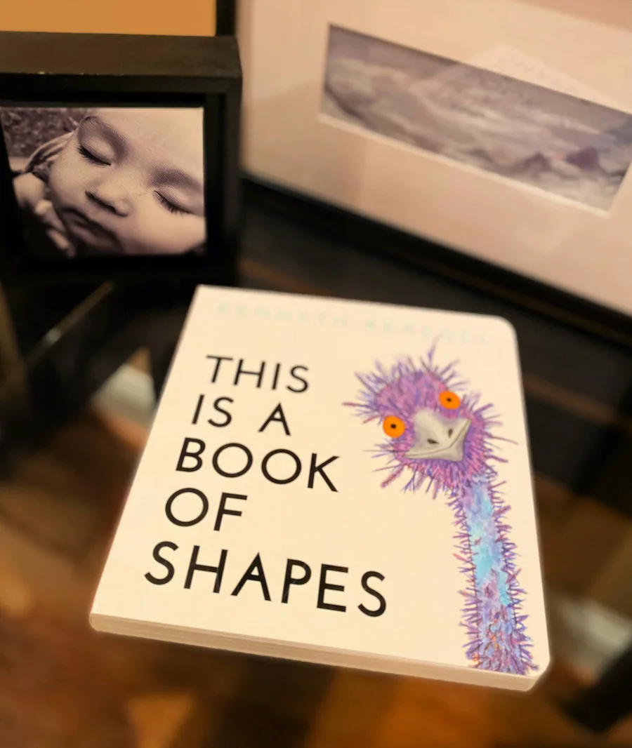 This is a Book of Shapes: A delightful new board book that makes learning shapes fun...and funny! (sponsor)