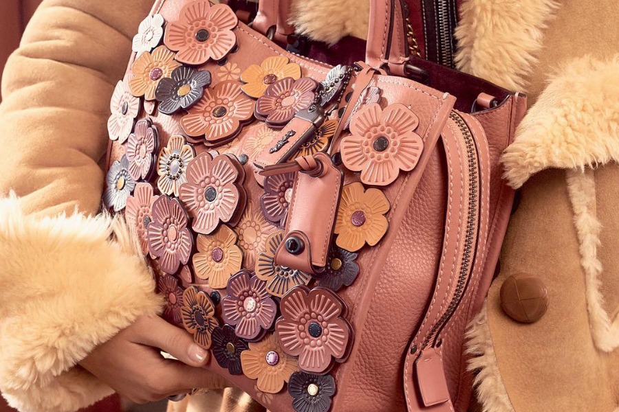 Our favorite colorful Coach handbags for fall in 11 gorgeous shades from dusty to day-um