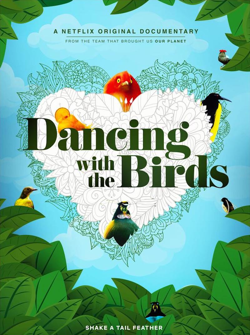 Educational documentaries for kids: Dancing with the Birds
