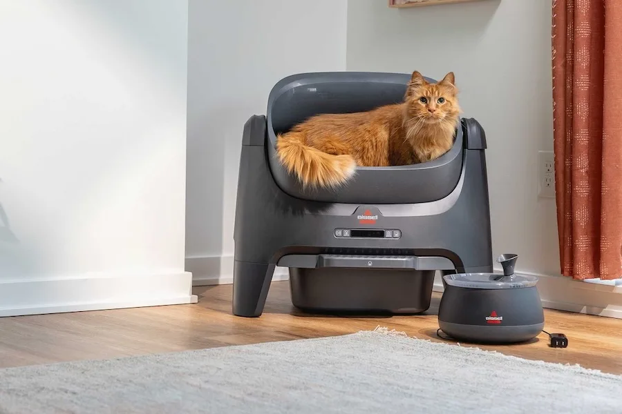 Bissell cleans everything from pet hair to playground dirt