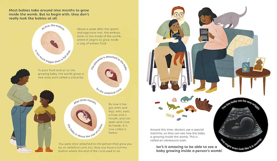 Making a Baby book review: Includes practical info on how a baby grows in the womb.
