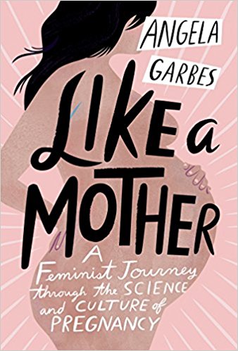 Great new beach reads from women of color: Like a Mother by Angela Garbes