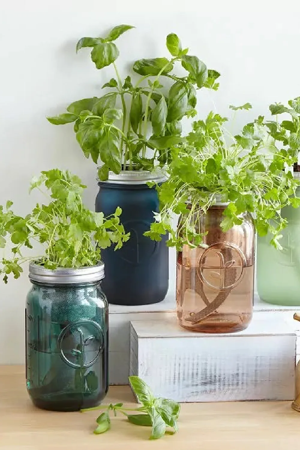 Practical Valentine's Day gifts for her: The indoor click & grow herb garden is wonderful!