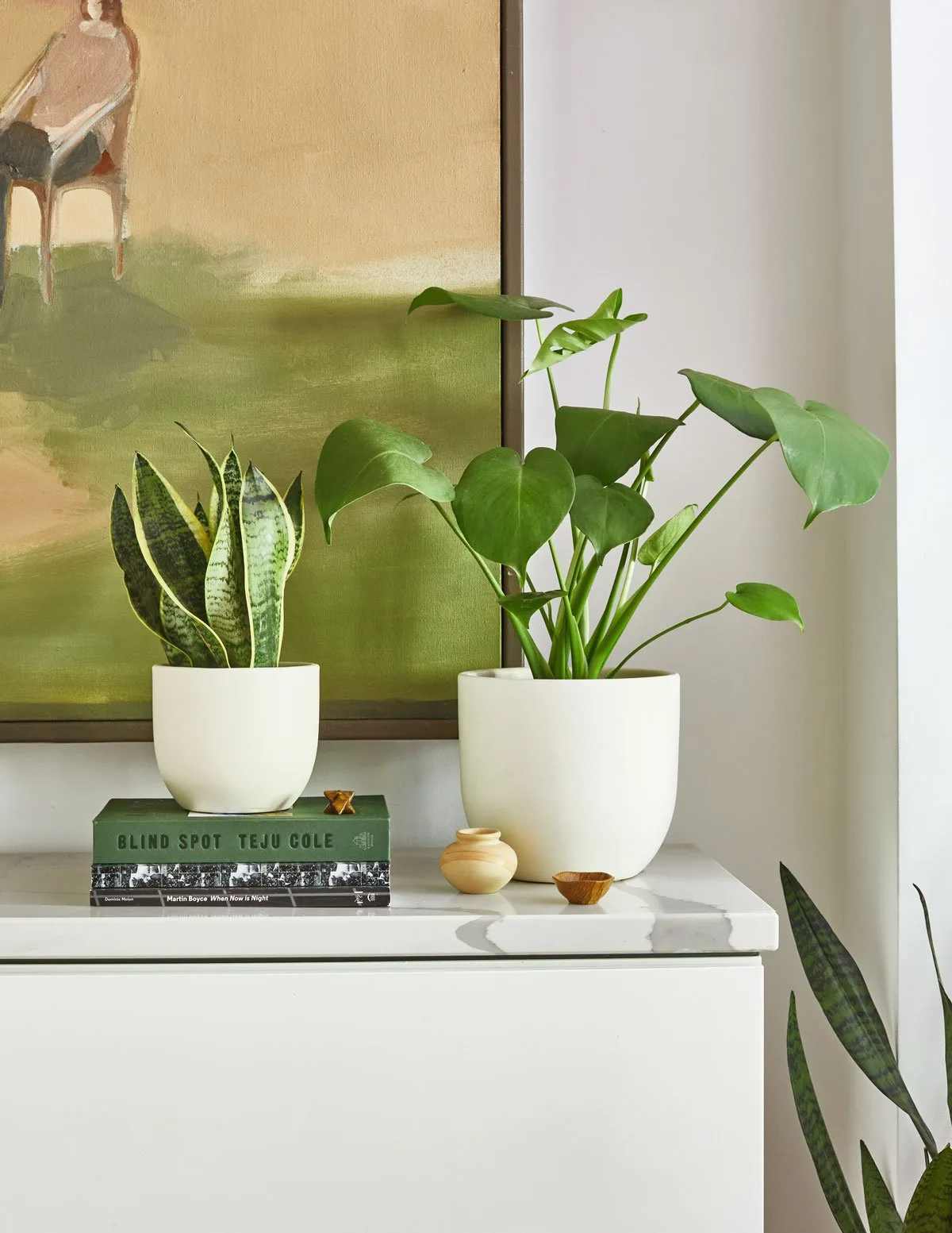 Love these elegant small planters from The Sill grouped together or alone
