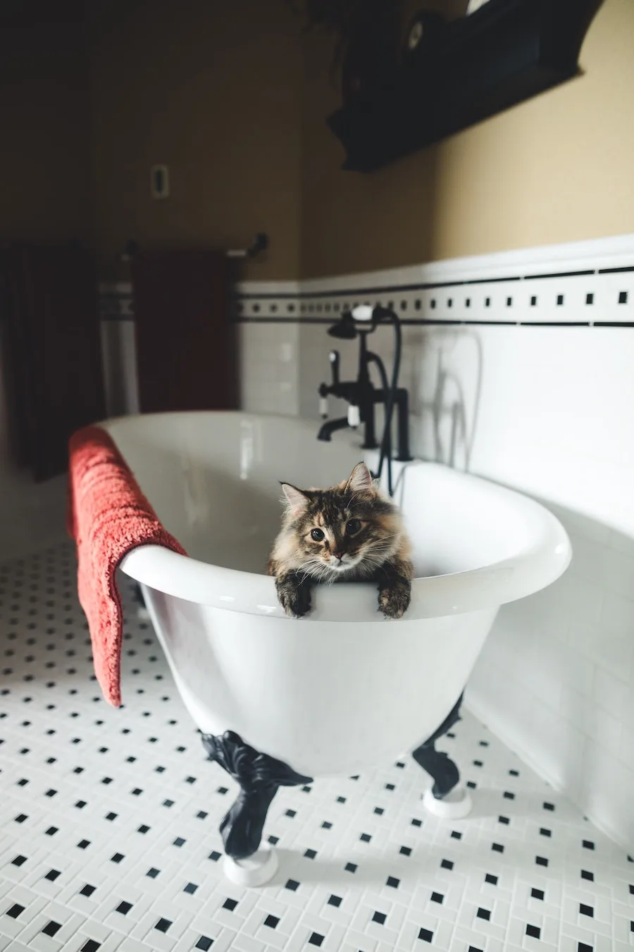 spa closed? Stay home and be safe and fabulous with these tip for at home spa day fabulousness