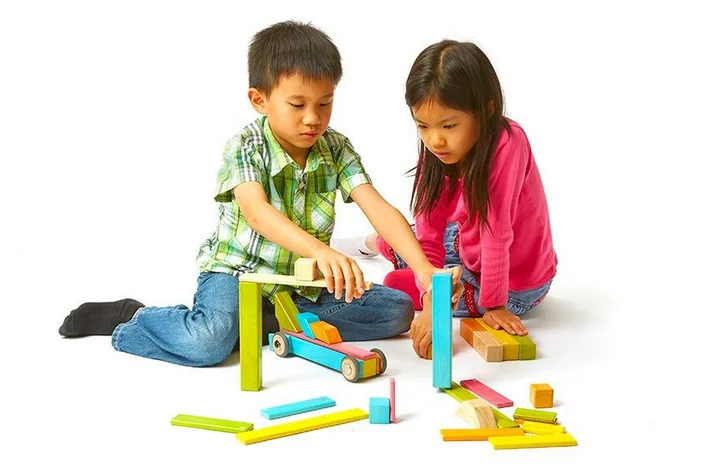 Tegu magnetic building block set