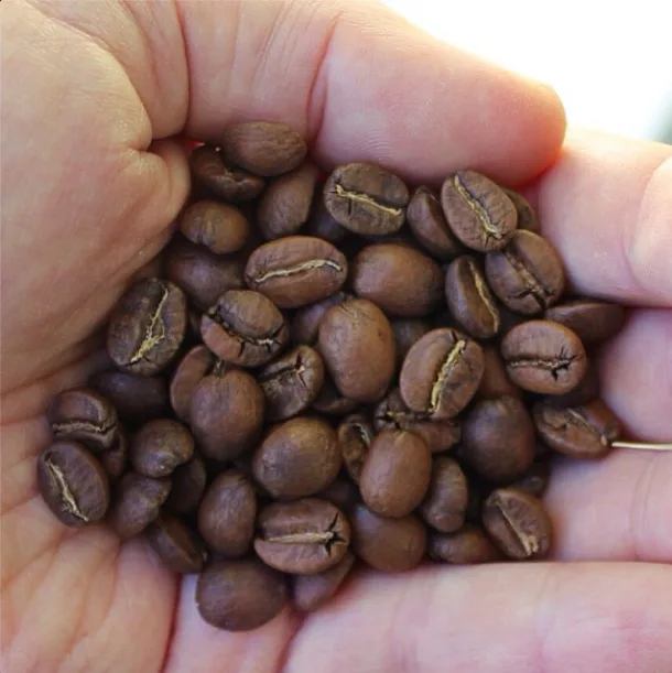 How to use a Chemex coffeemaker