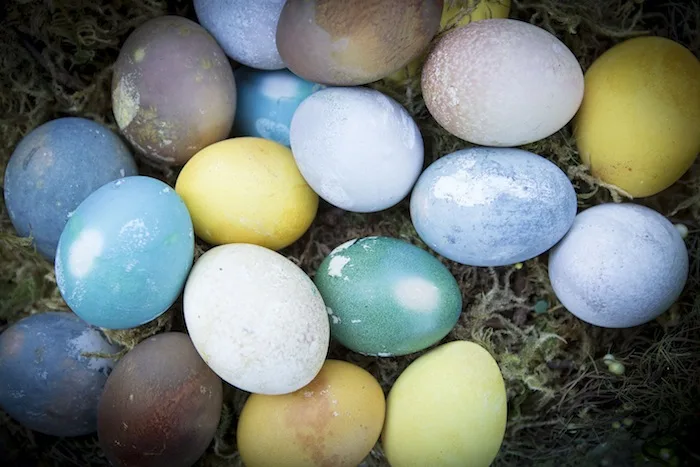 Easter eggs dyed naturally