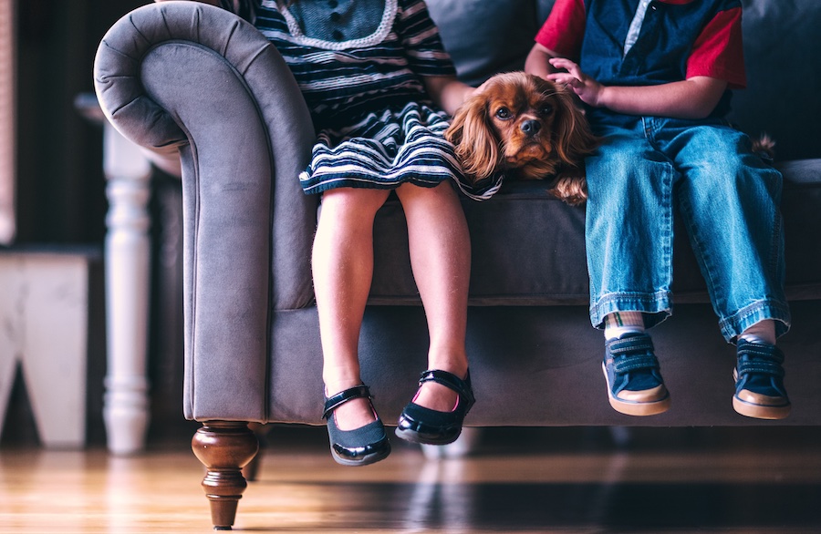 Lice myths parents should know: Do you have to have all your furniture cleaned? | mompicksprod.wpengine.com