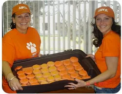 Going orange for the ASPCA