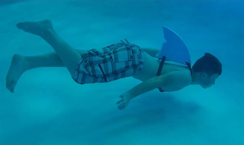 Shark fin by Fin Fun