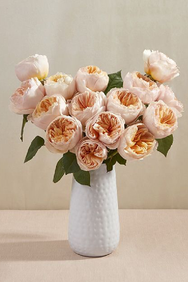 Last minute gift ideas: Stunning David Austin roses from Bouqs