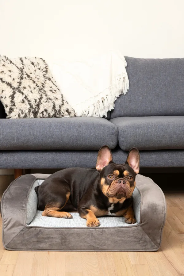 Pet essentials for summer: PupProtector Back Seat Car Cover