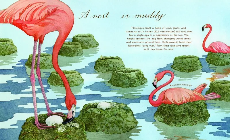 A Nest is Noisy: A children's book that brings spring to life beautifully