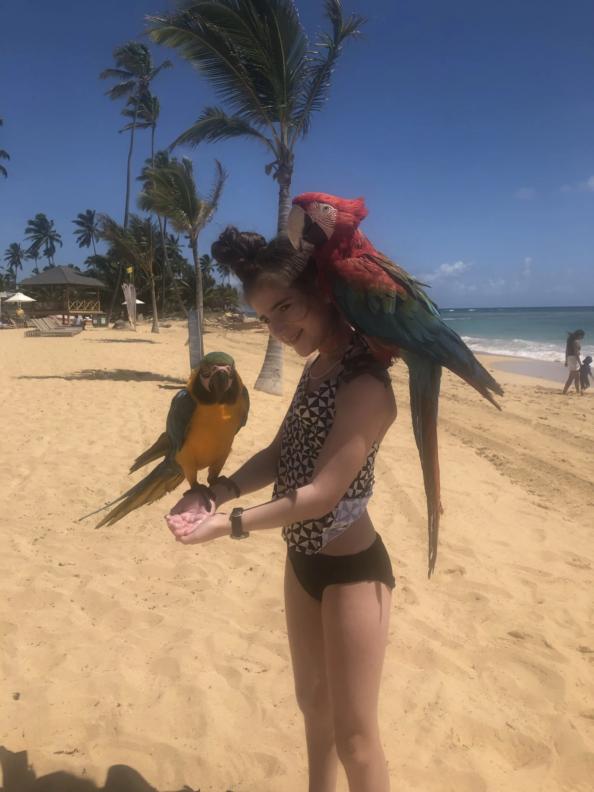 Tips for your Nickelodeon Punta Cana vacation: Download the Karisma resort appp