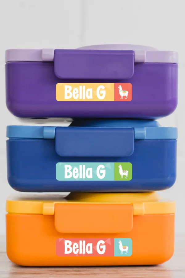 Stasher reusable sandwich and snack bags are made from silicone and are AMAZING!
