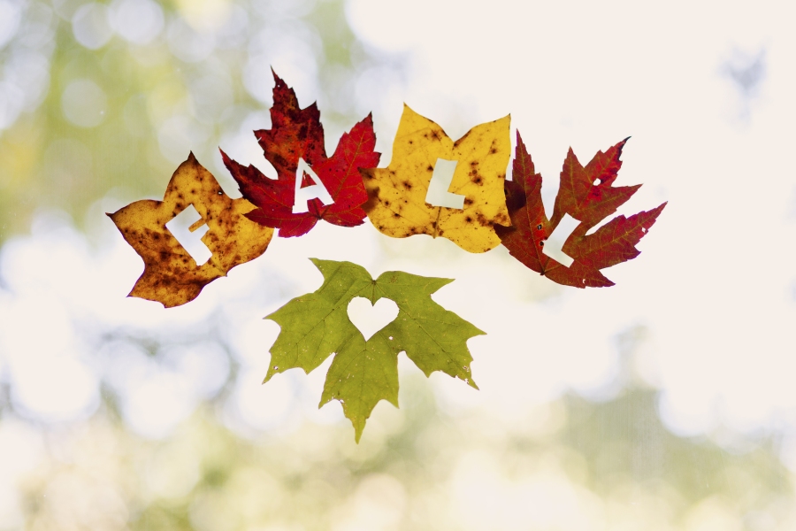 Kids crafts using fall leaves: Leaf Window Decorations | Uteki